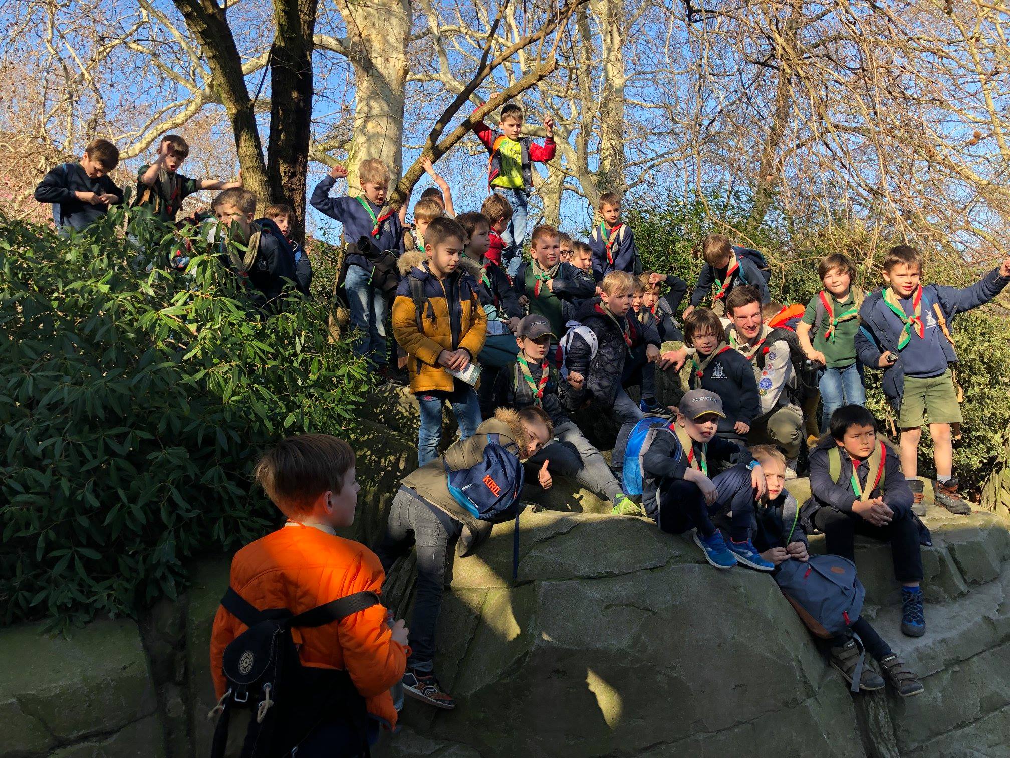 Sint-Martinus den XIIde - Zoo Antwerpen Kapoenen
